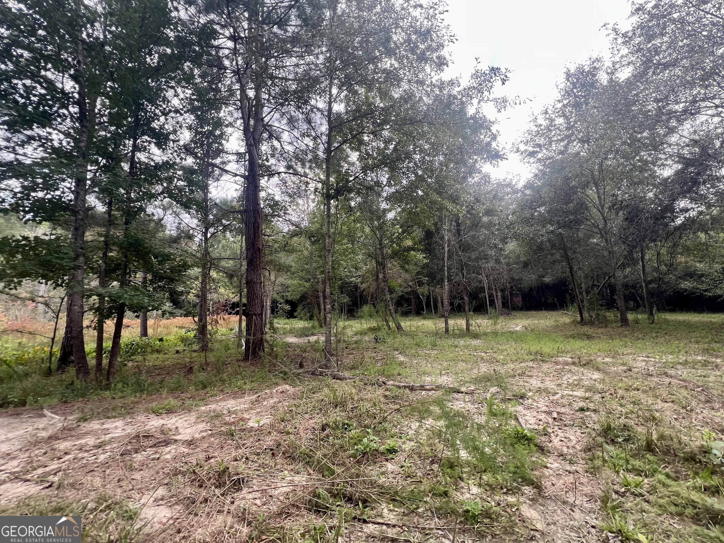 0 Mccarty Dodd Road Property Photo 3