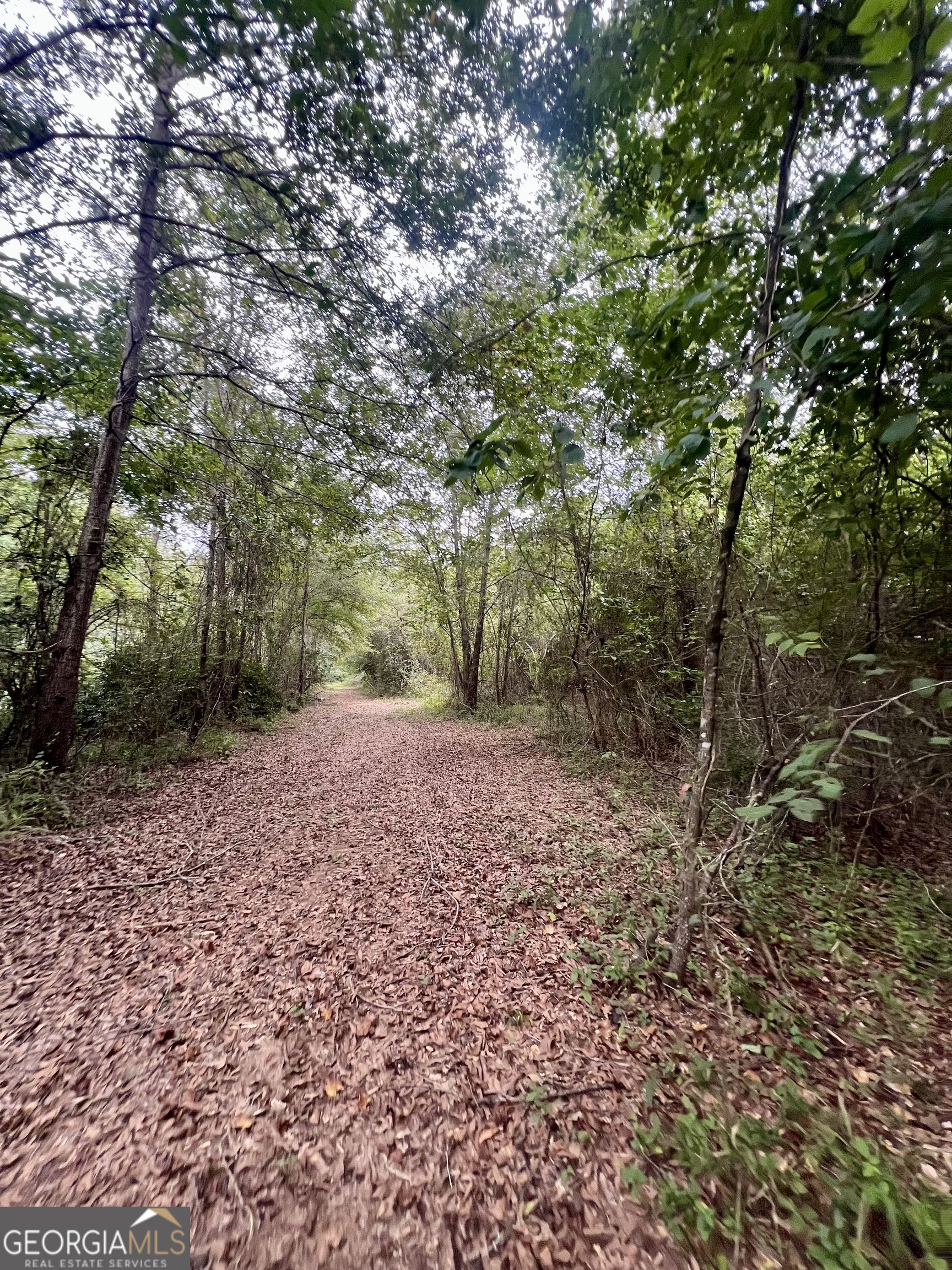 0 Mccarty Dodd Road Property Photo 4