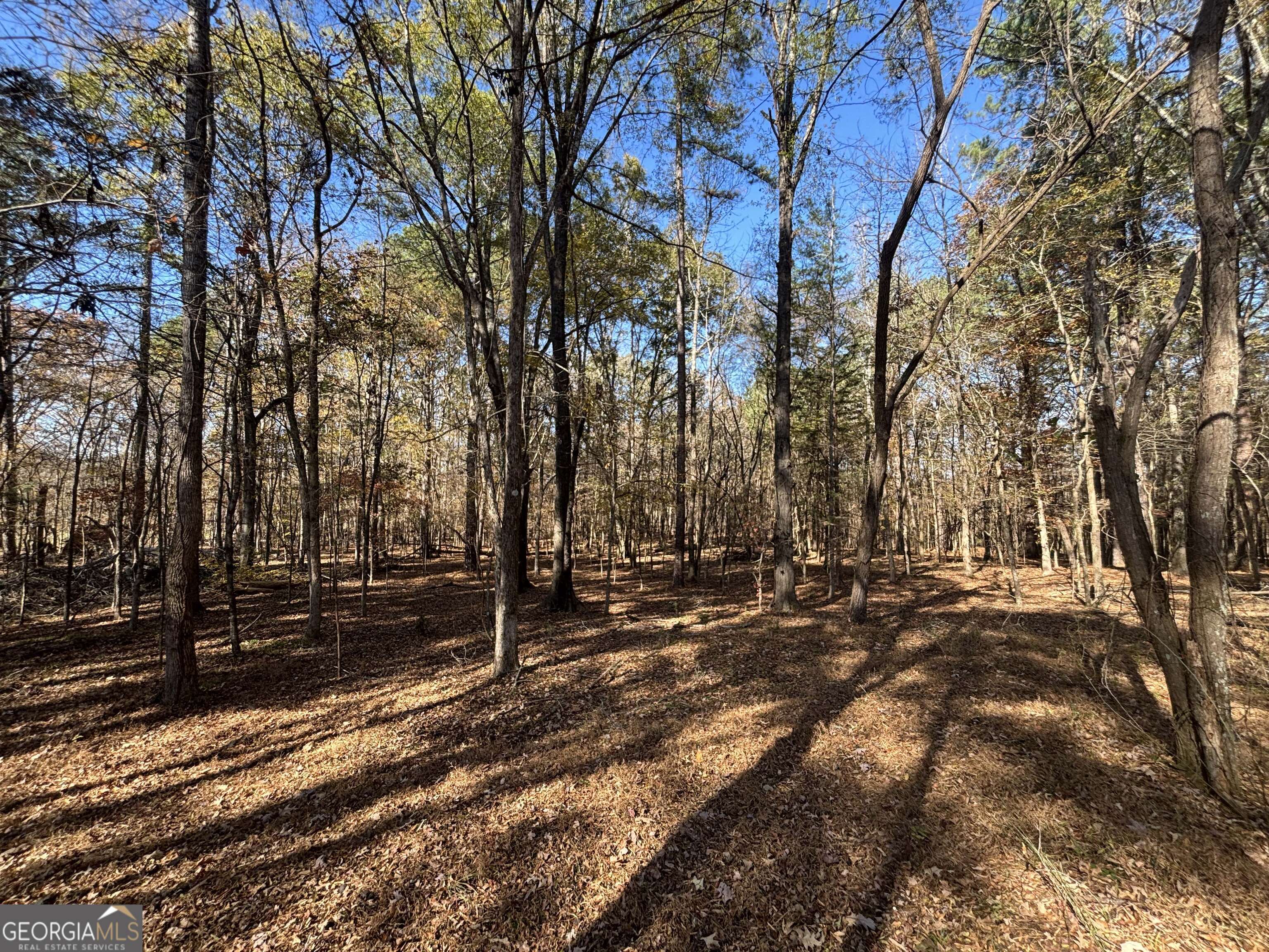 0 Oconee Road Lot 5 Property Photo 12