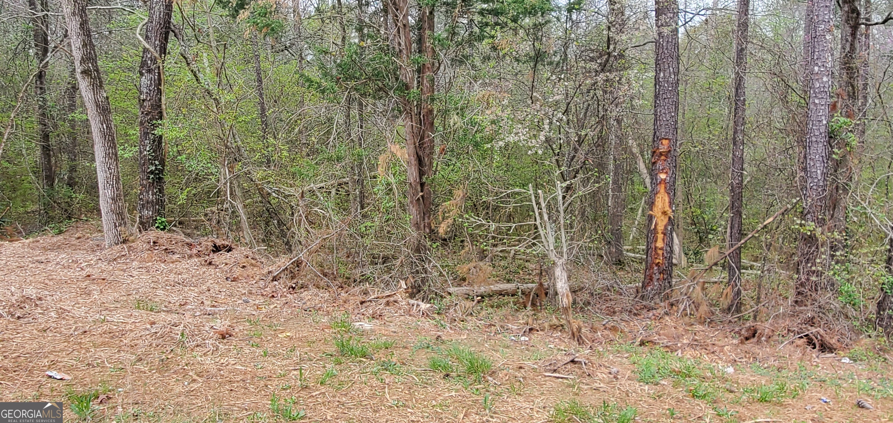 4662 Ridgeland Drive Sw Property Photo 2