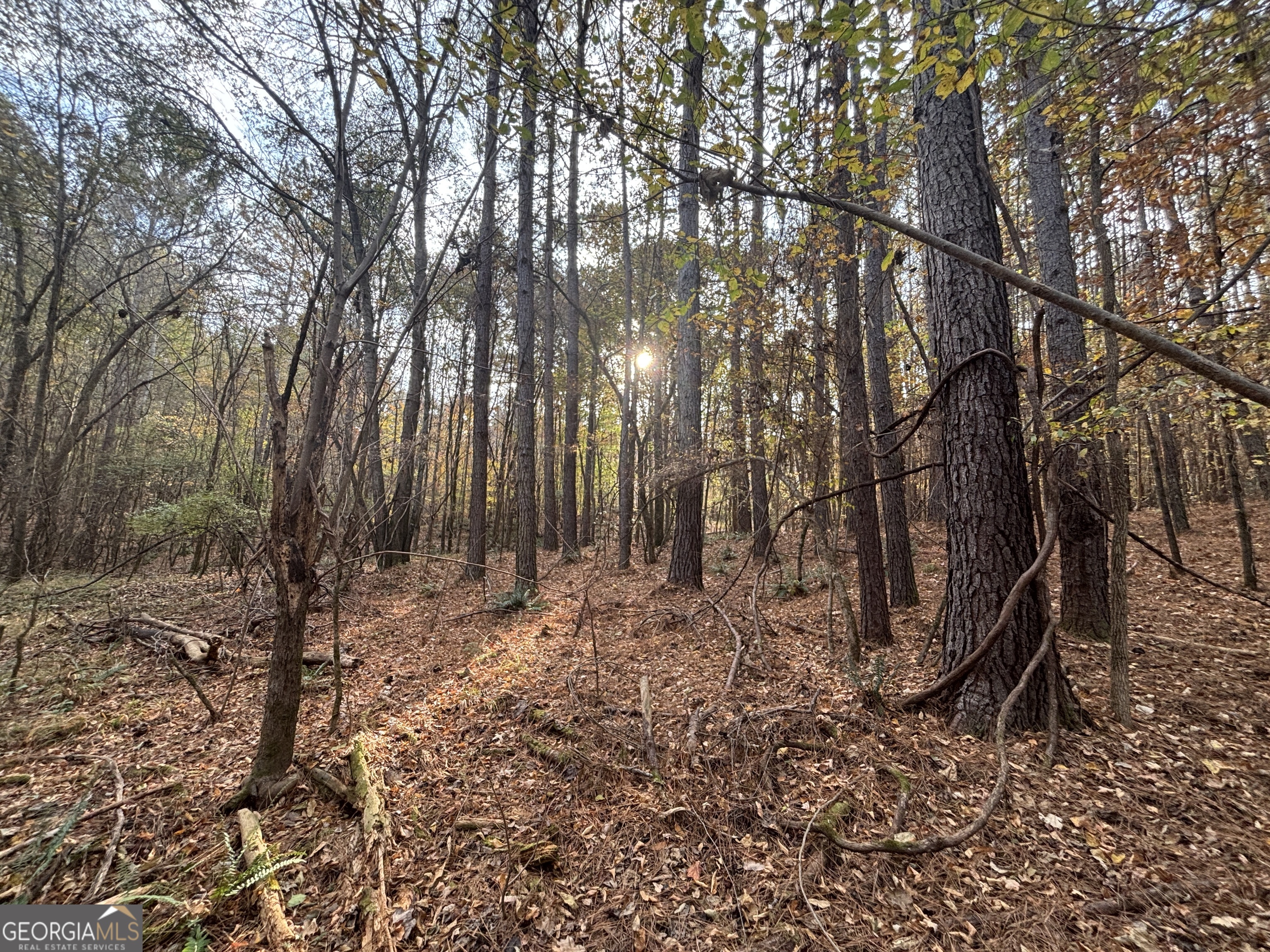0 Oconee Rd Lot 4