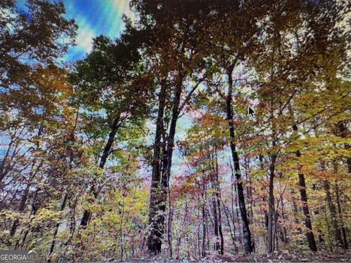 6 Morgan Creek Lot 6 # 6 Property Photo 1