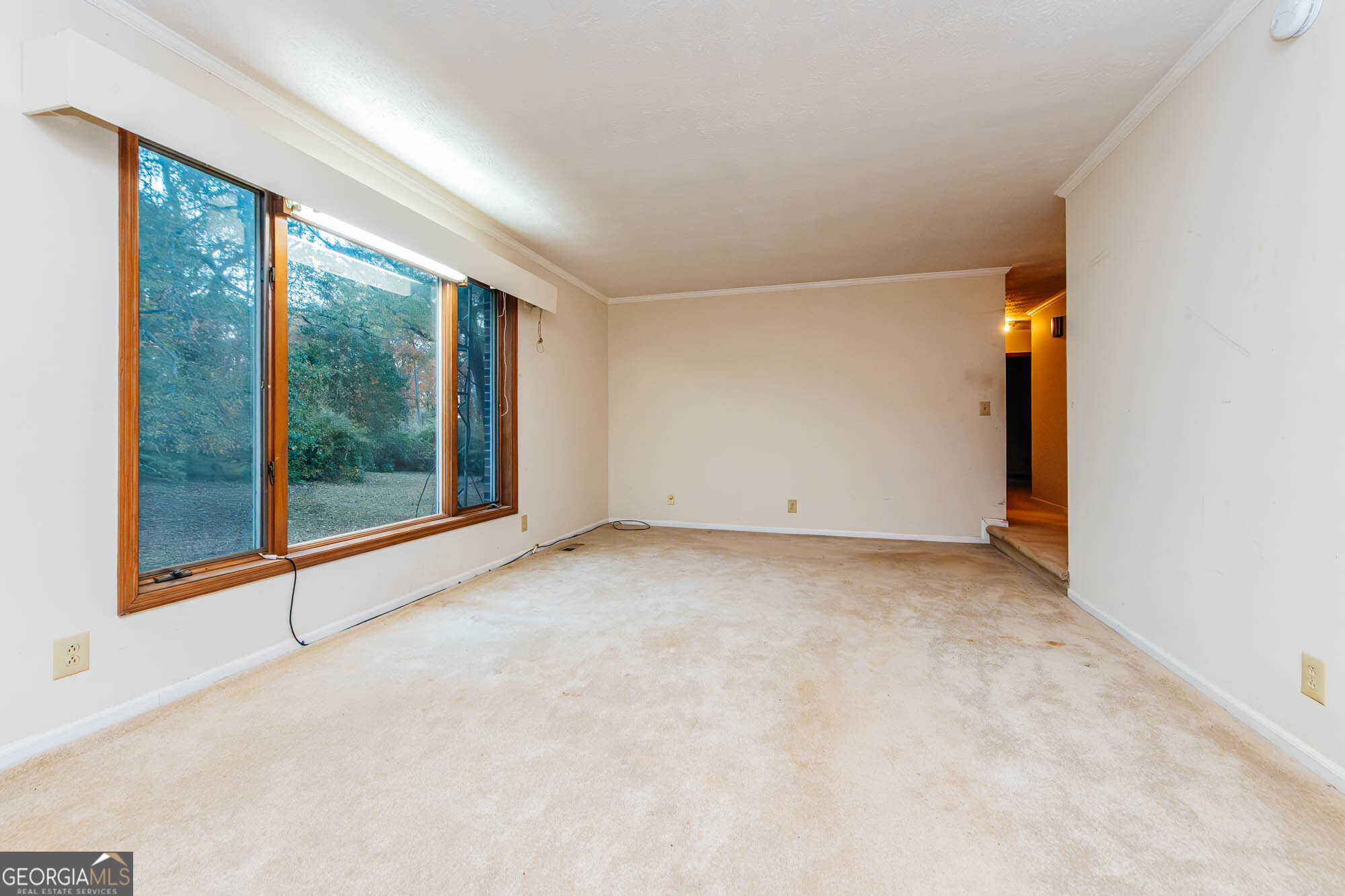 6368 Old Forsyth Road Property Photo 19