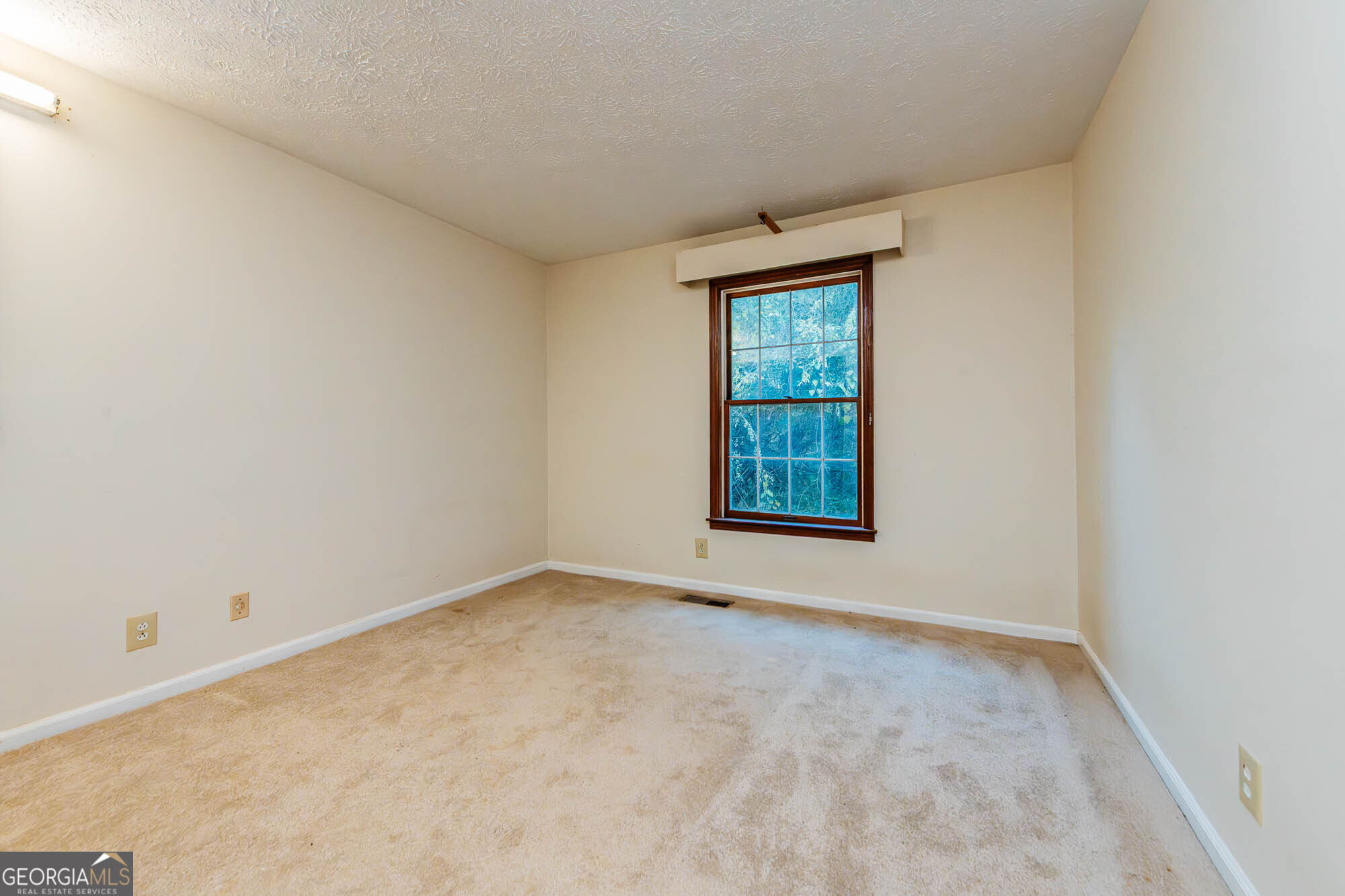 6368 Old Forsyth Road Property Photo 31