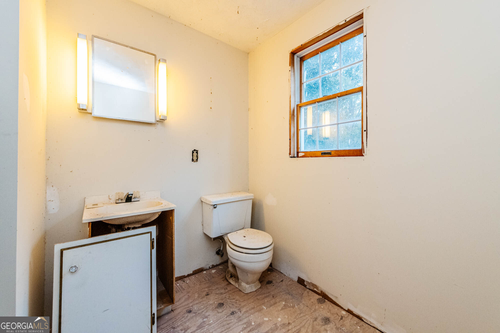 6368 Old Forsyth Road Property Photo 47