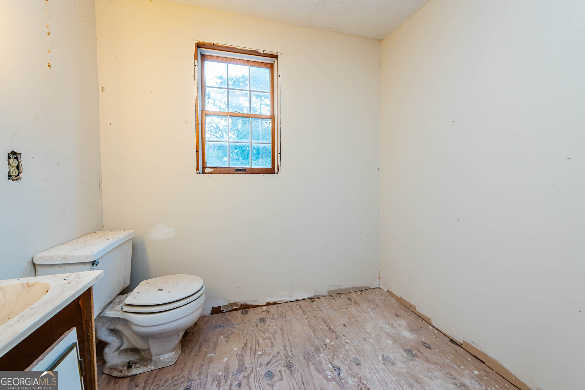 6368 Old Forsyth Road Property Photo 49