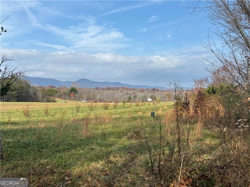 0 Hulsey Road Property Photo 6