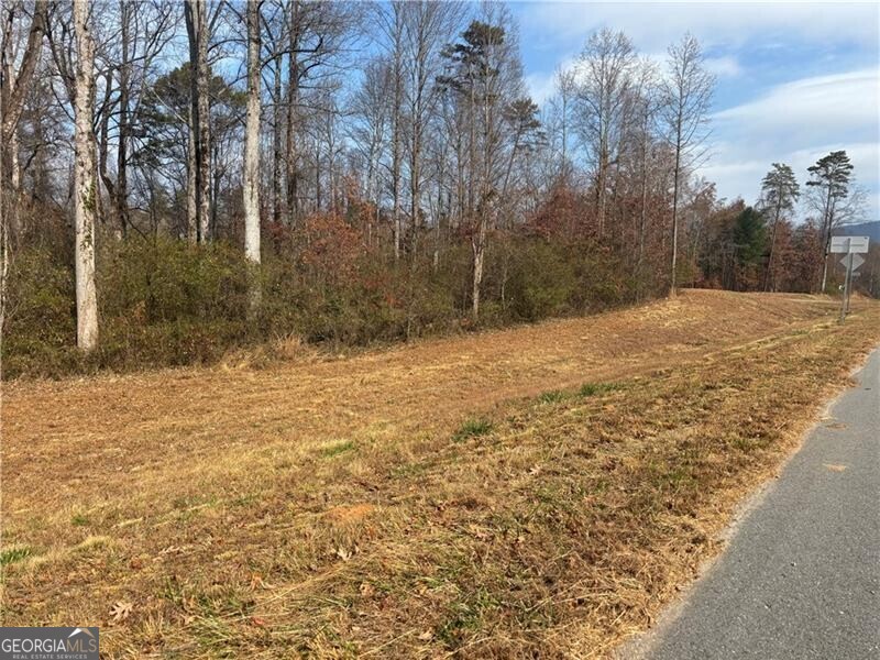 0 Hulsey Road Property Photo 8