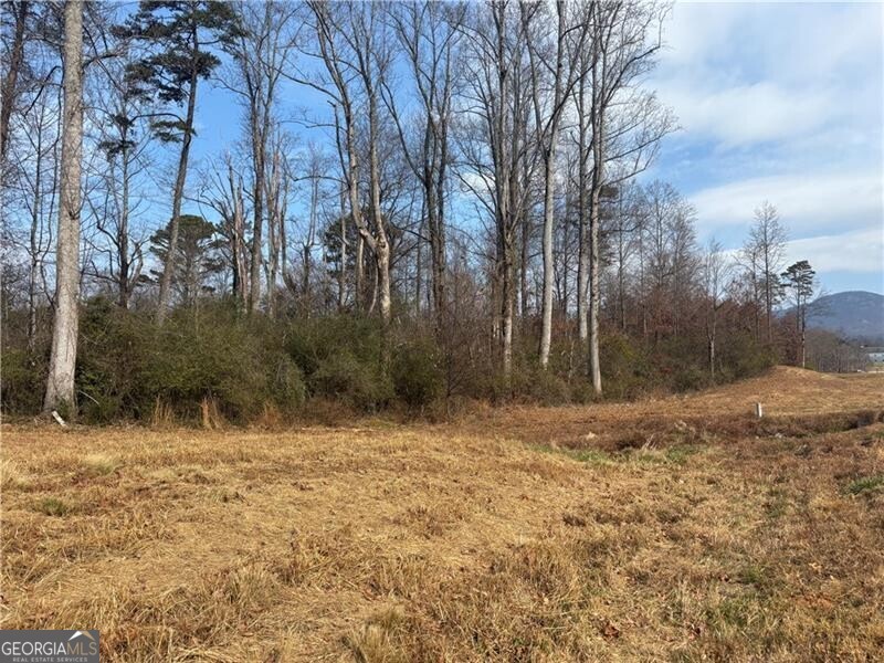 0 Hulsey Road Property Photo 9