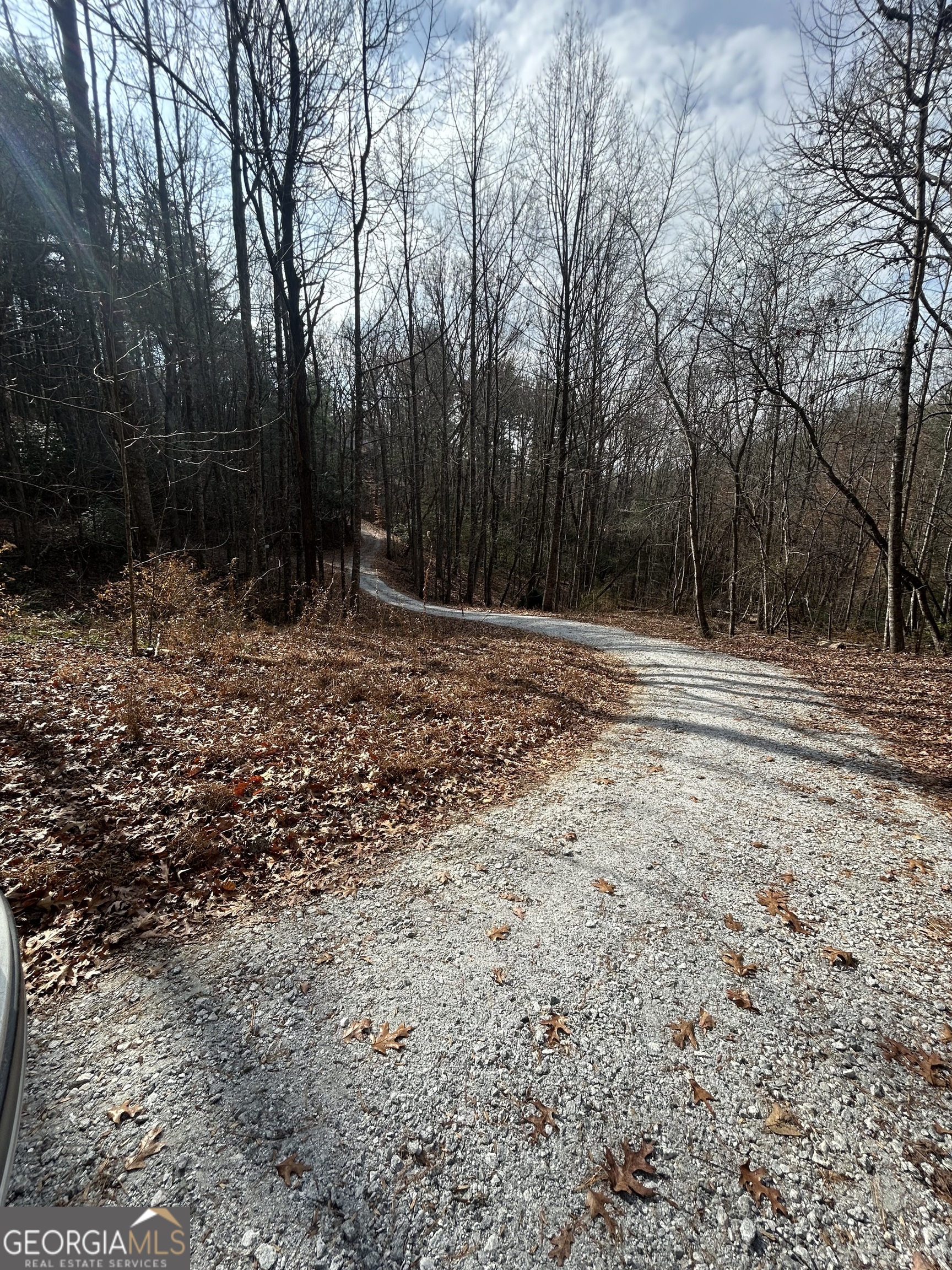 0 Amaryllis Lane Property Photo 3