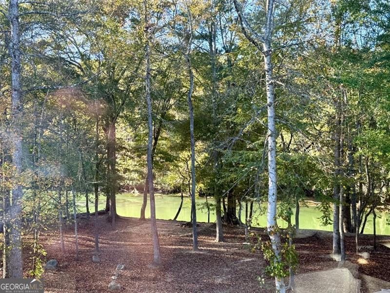 335 Marshy Pointe Property Photo 39
