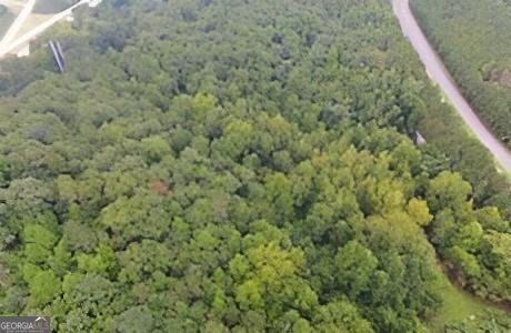 0 Bluffs Parkway Property Photo 4