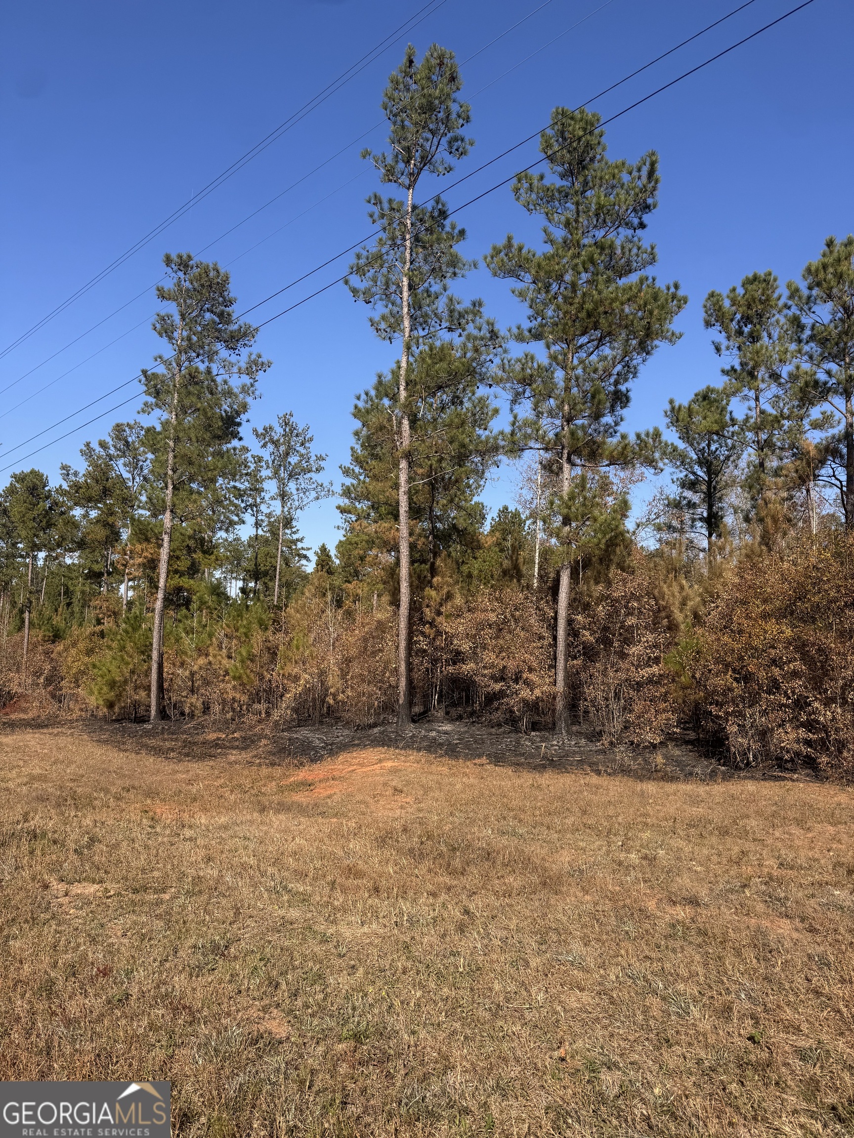 4517 Hwy 18 Property Photo 1