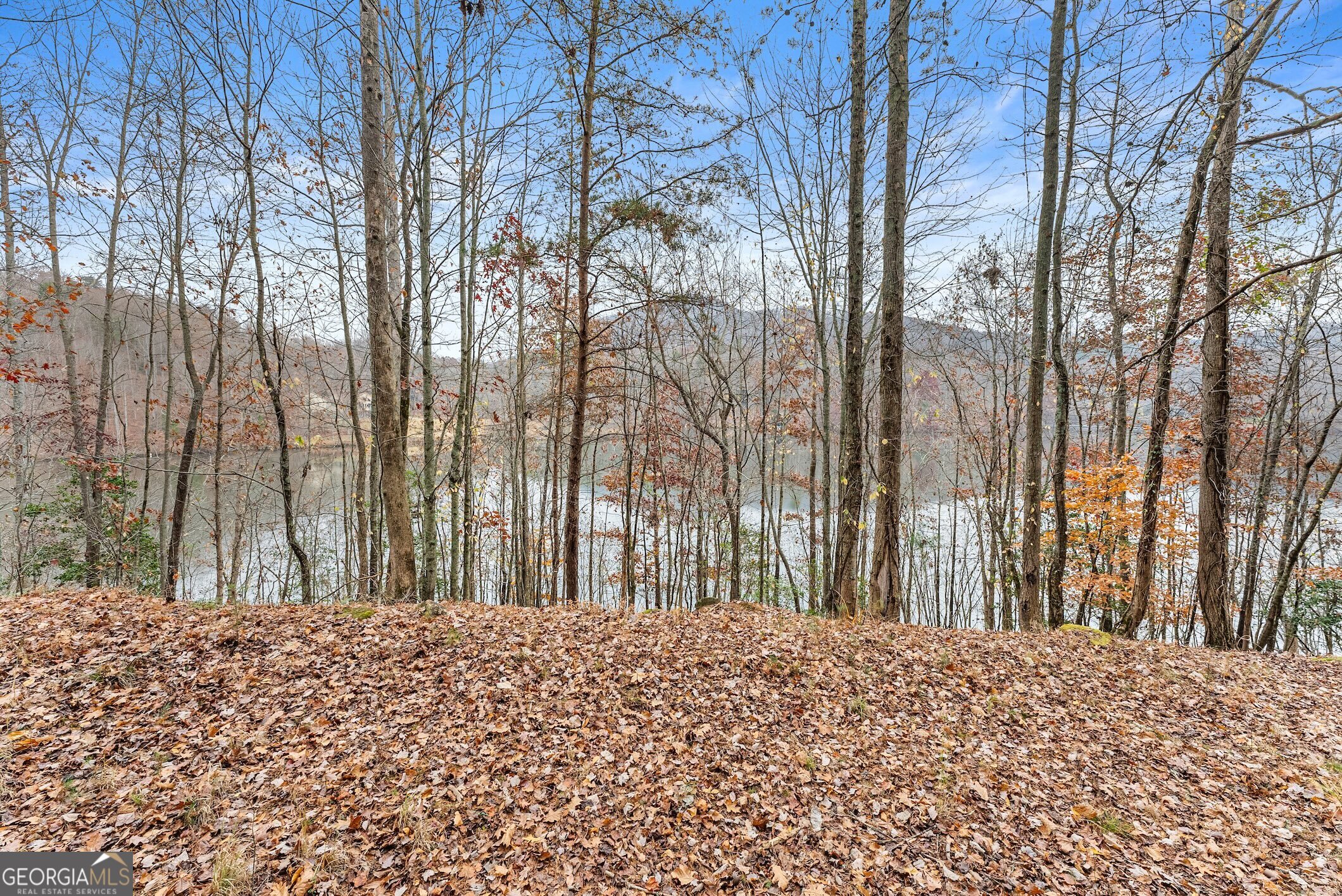 0 South Laceola Road Property Photo 23