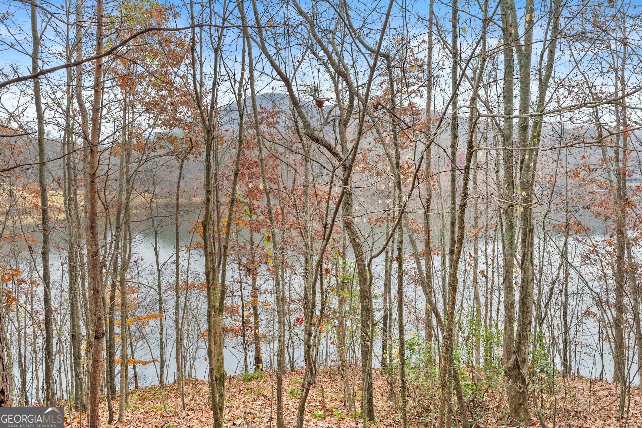 0 South Laceola Road Property Photo 24