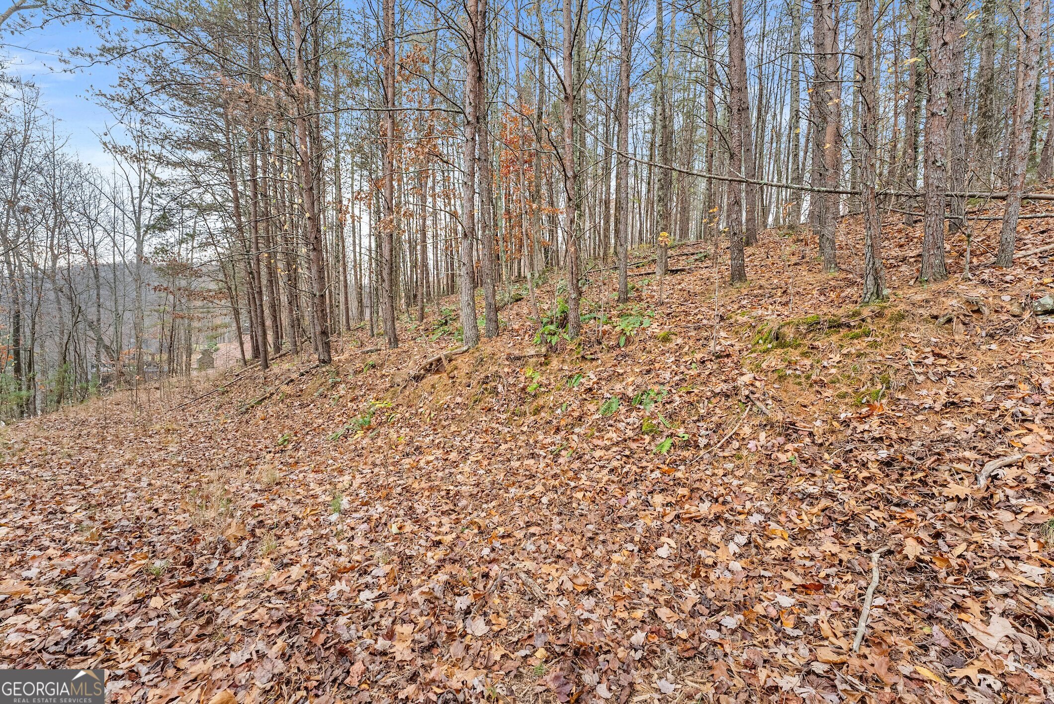 0 South Laceola Road Property Photo 27