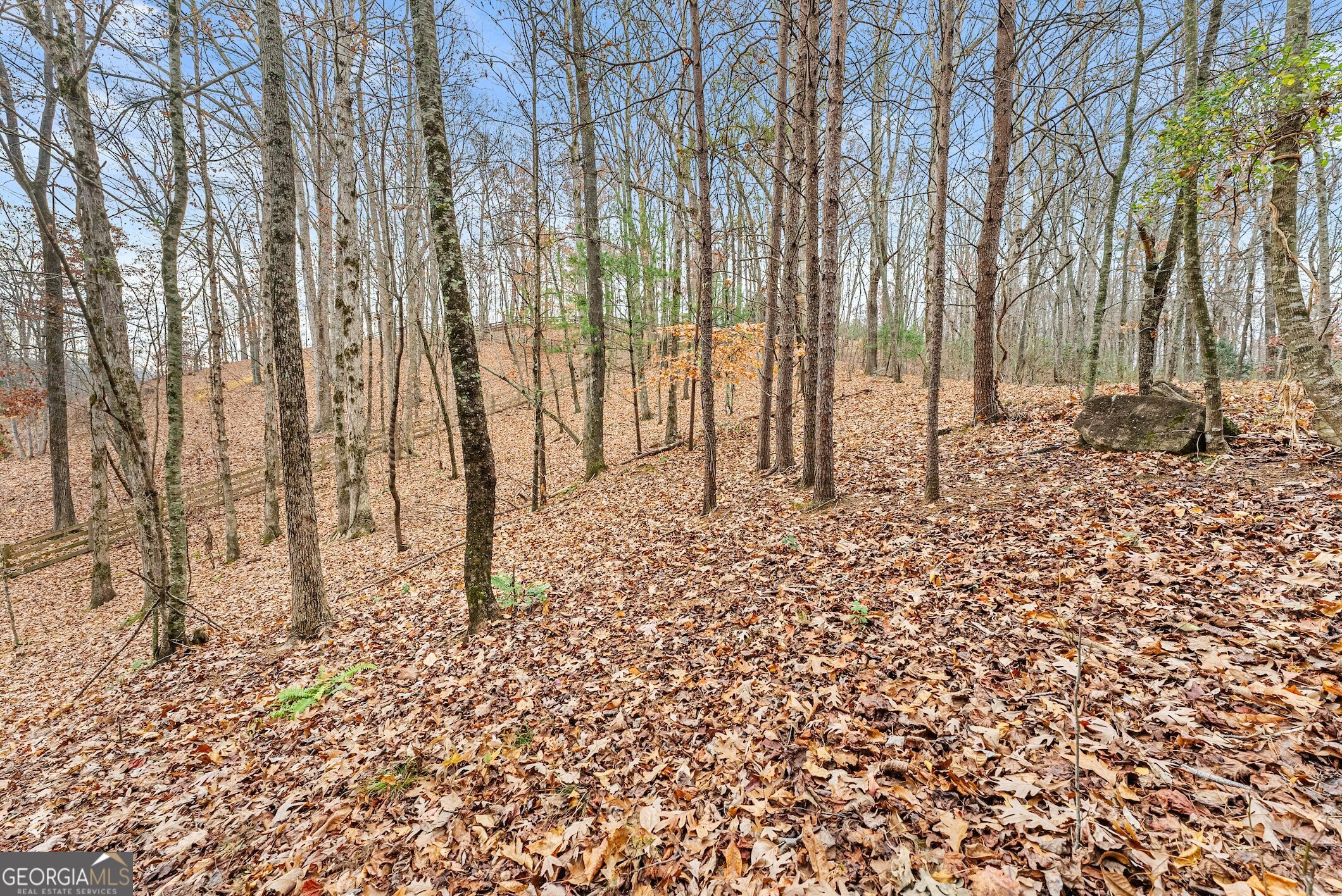 0 South Laceola Road Property Photo 31