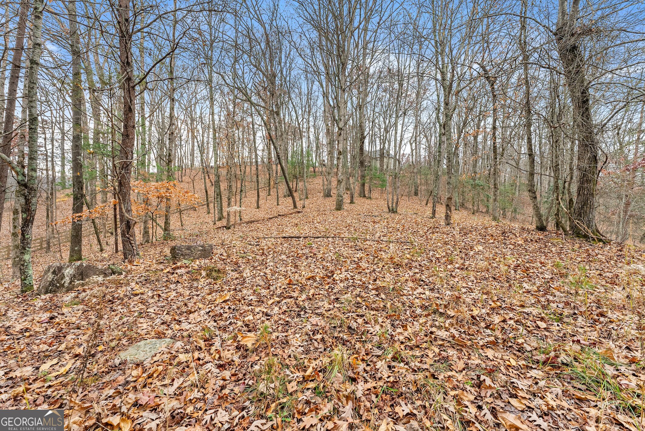 0 South Laceola Road Property Photo 32