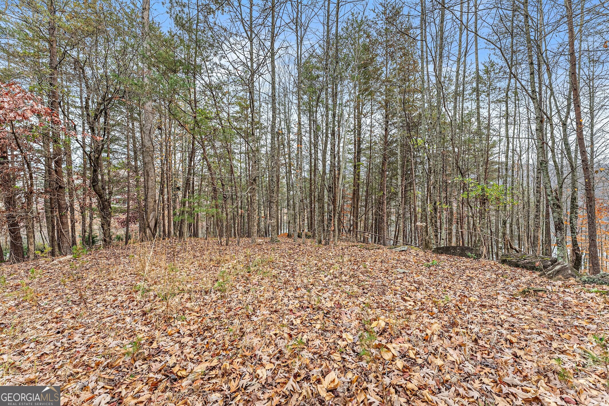 0 South Laceola Road Property Photo 33