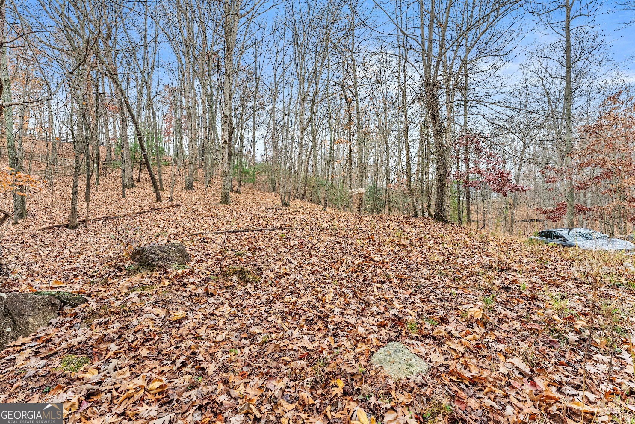 0 South Laceola Road Property Photo 35