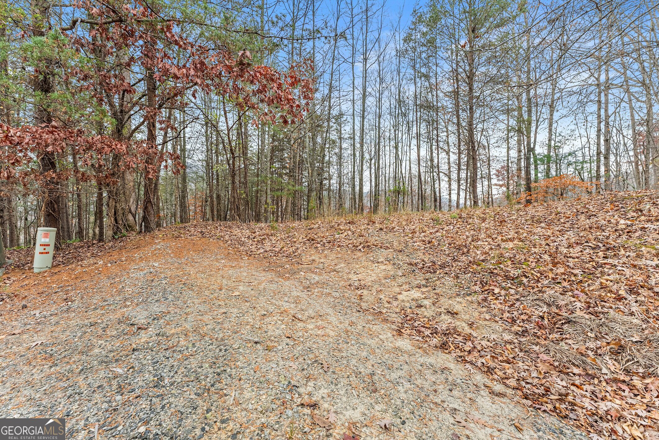 0 South Laceola Road Property Photo 37
