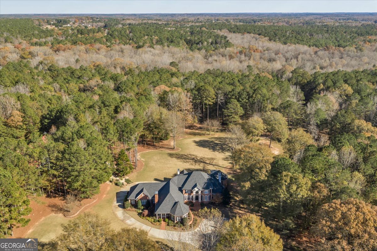 2079 Highway 85 Property Photo 49
