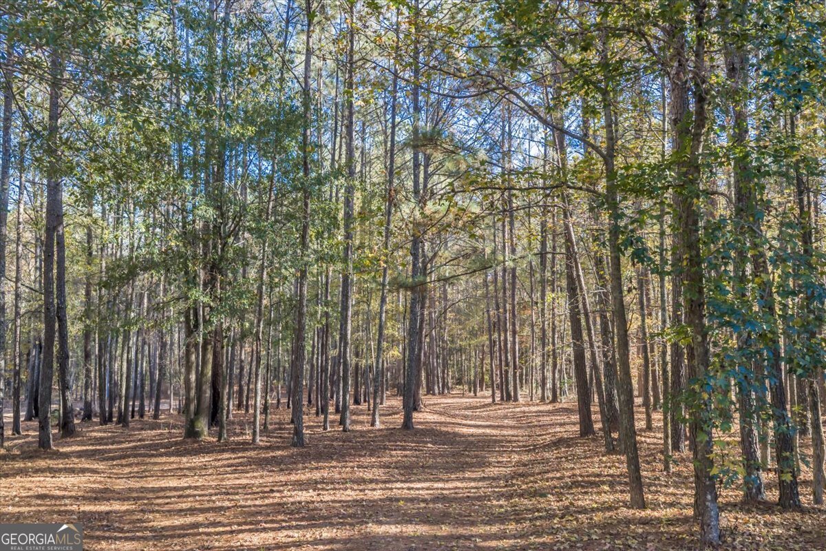 2079 Highway 85 Property Photo 60