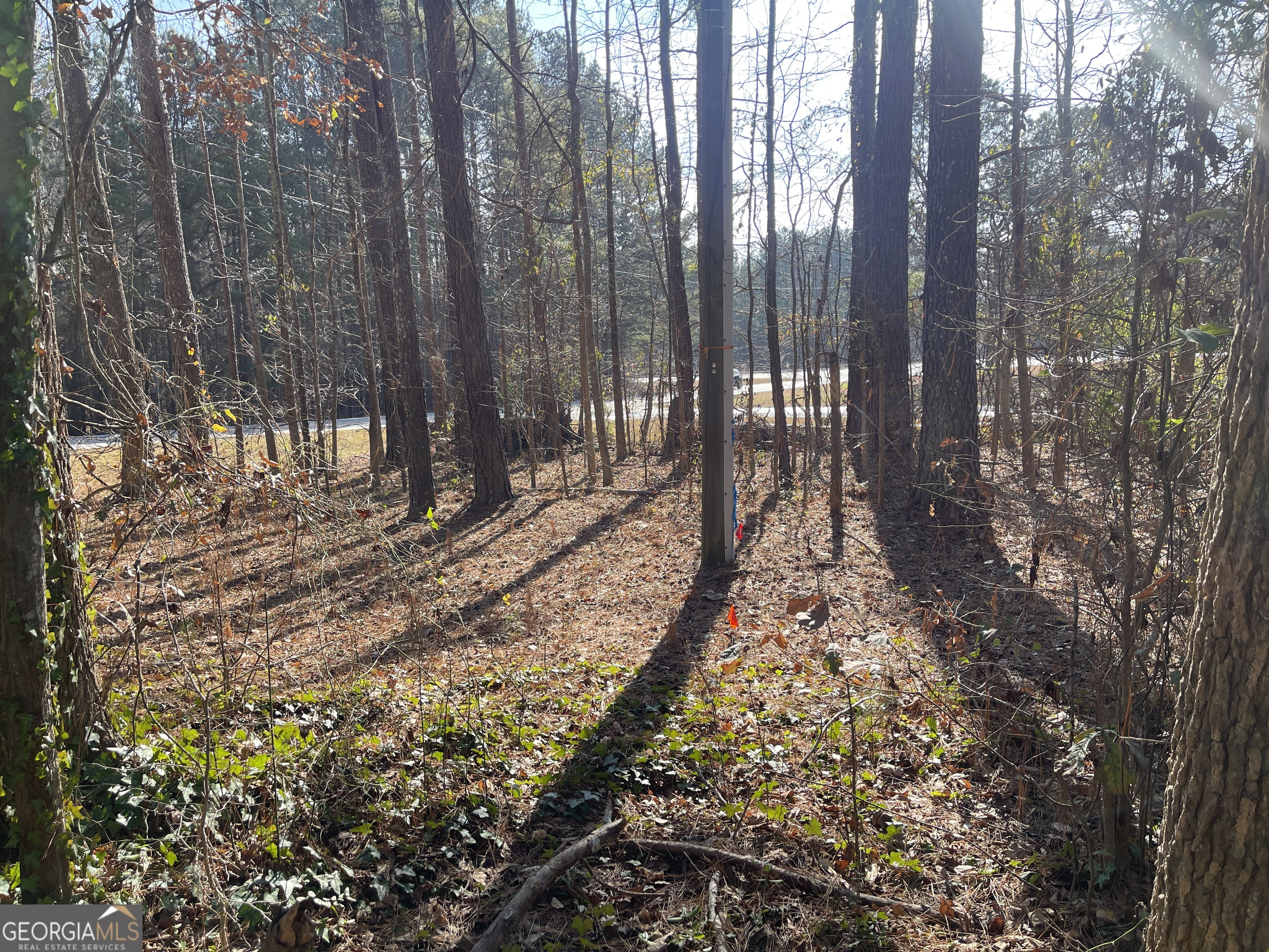 1811 Mcnutt Creek Road Property Photo 2