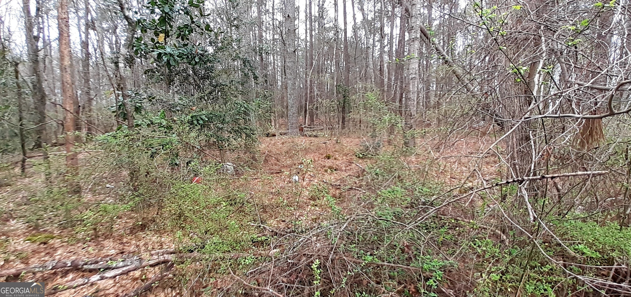 100 Lovelace Street Property Photo 3