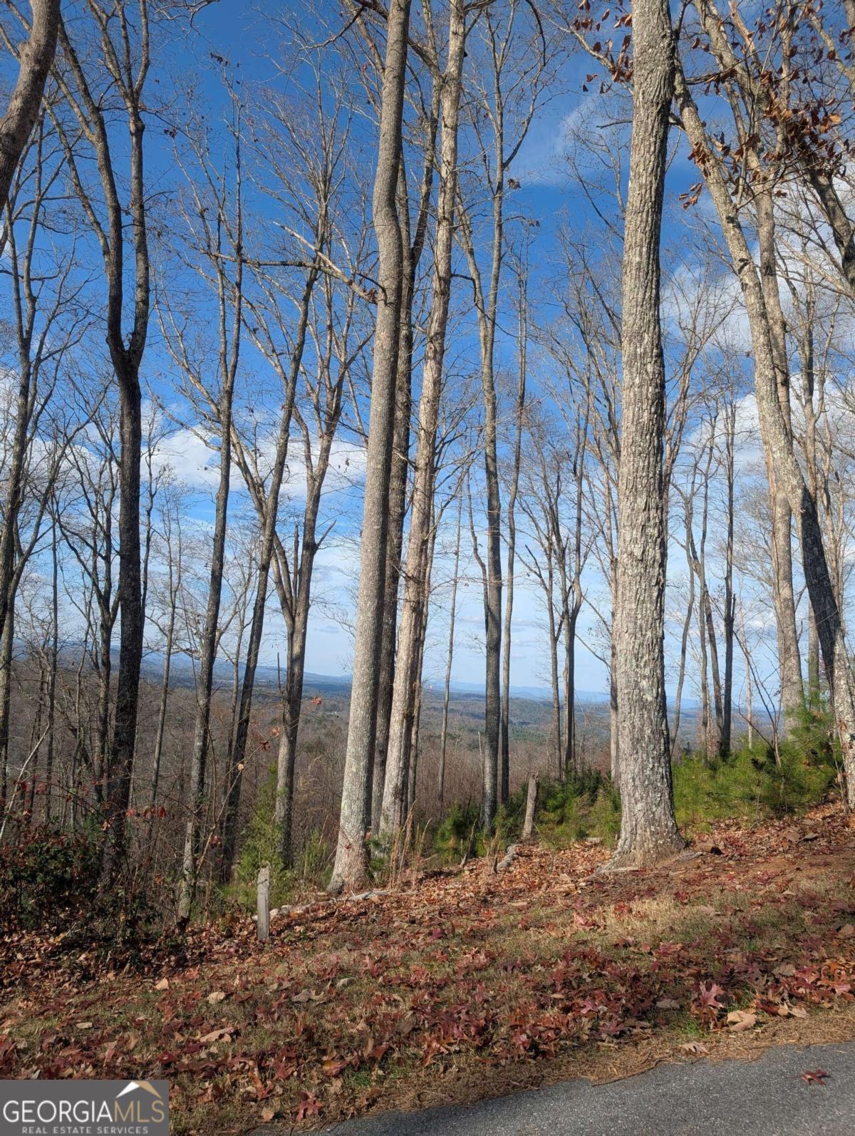 LOT 91 Winding Ridge