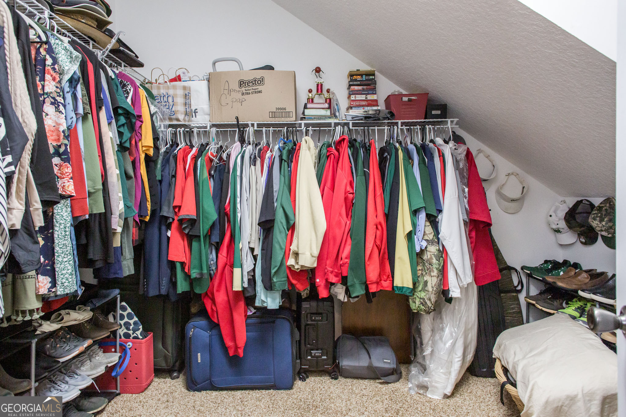 851 Carriage Lane Property Photo 29
