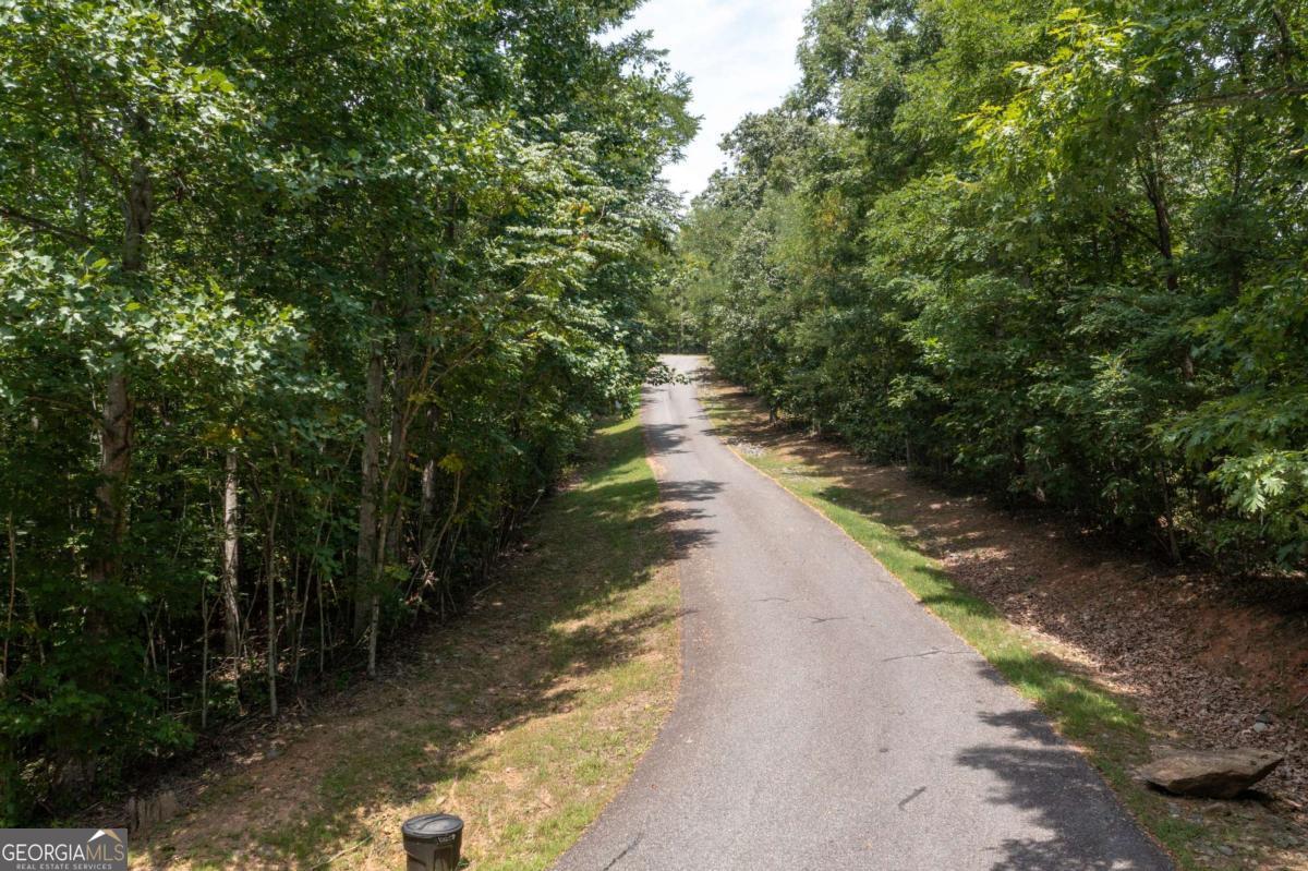 Lot 80 Broken Arrow Trail Property Photo 5
