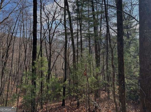 0 Evergreen Lane Property Photo 6
