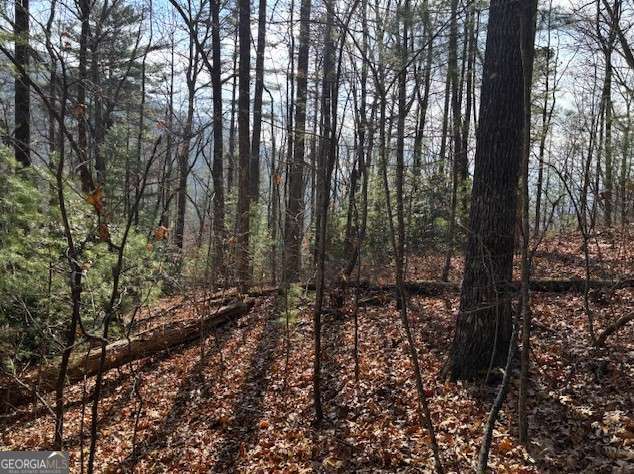 0 Evergreen Lane Property Photo 9