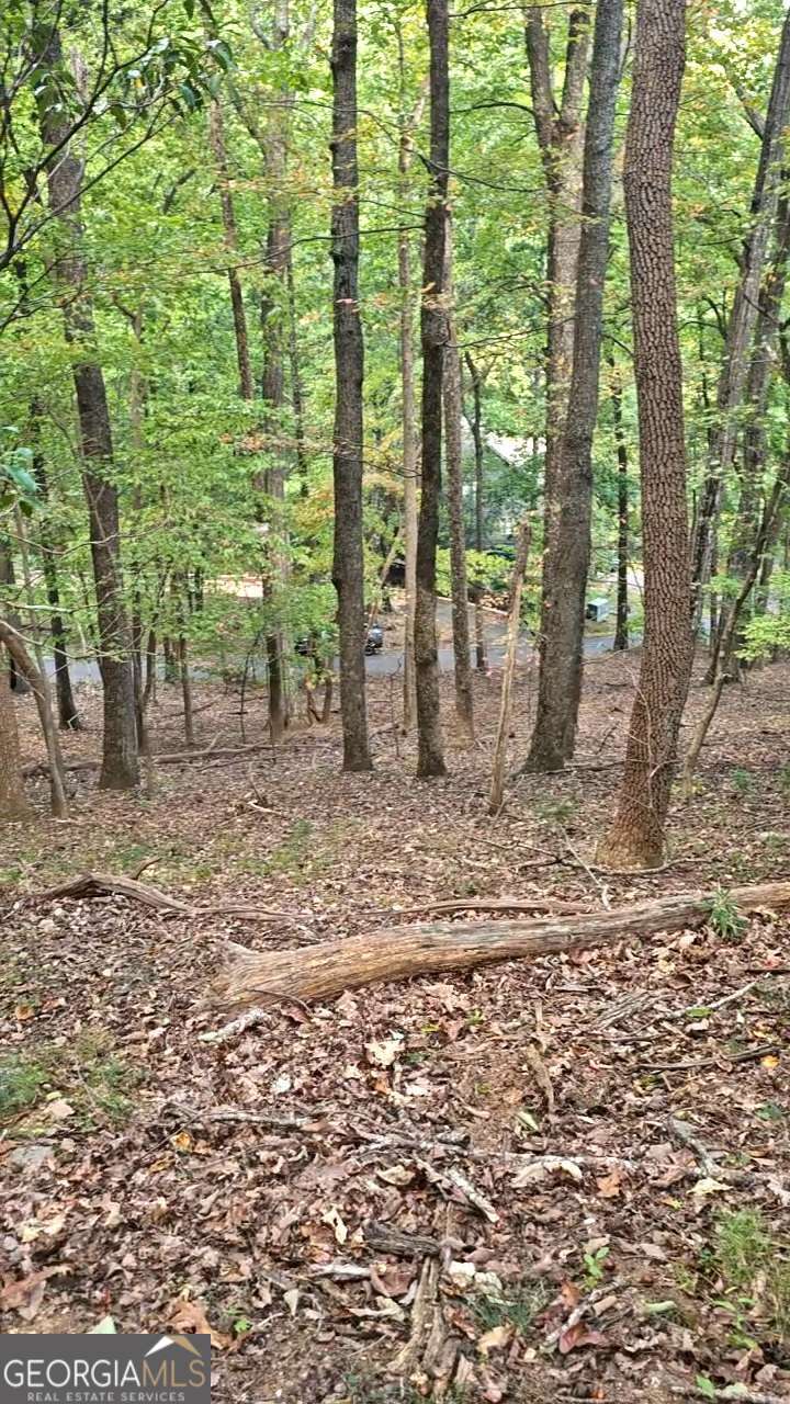 315 Windflower Drive Property Photo 4