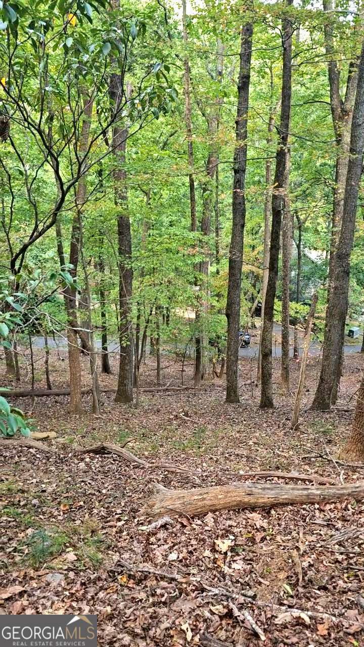 315 Windflower Drive Property Photo 5