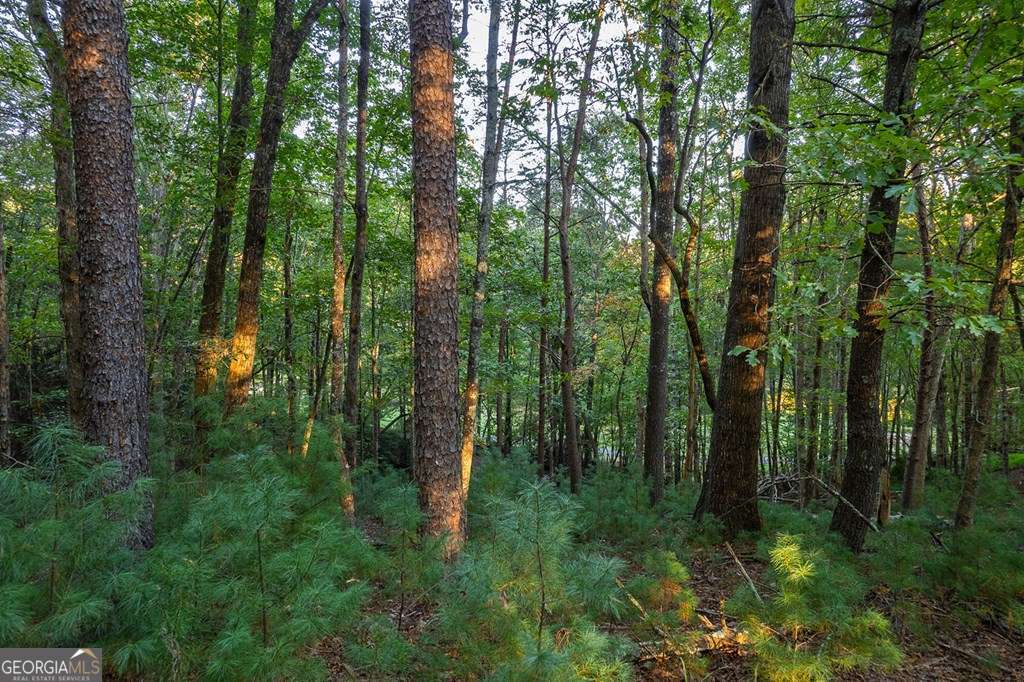 228 Toccoa Court # 228 Property Photo 9