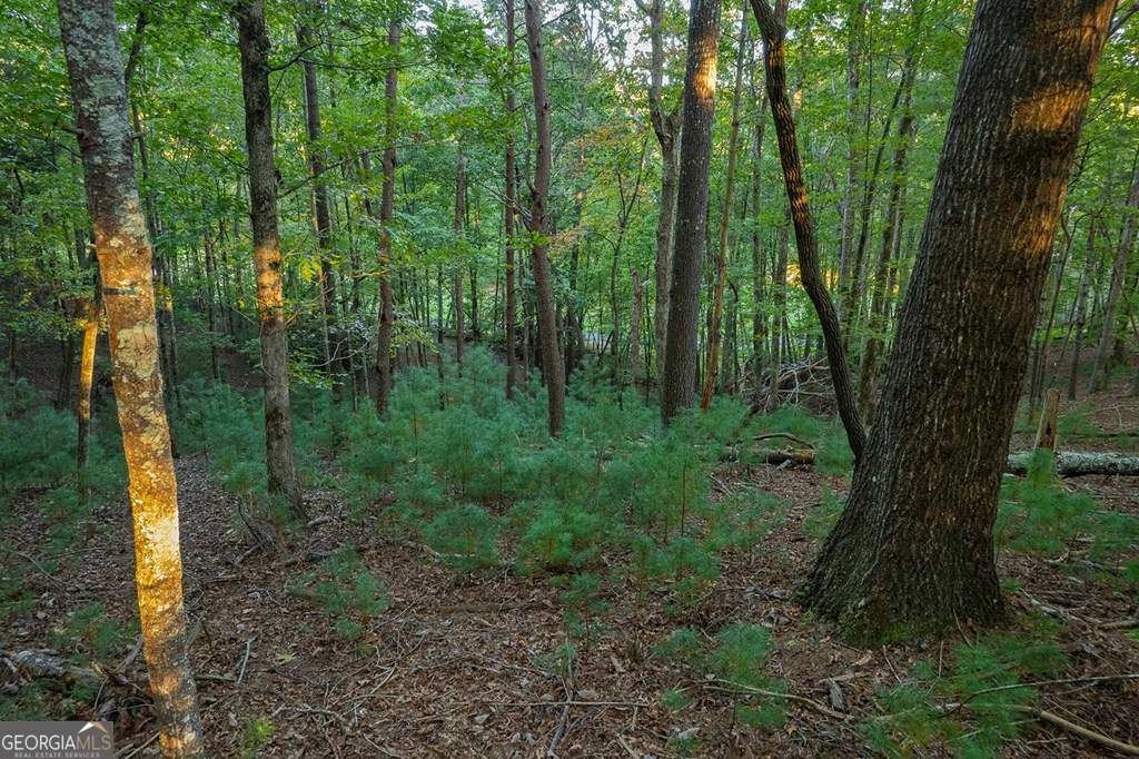 228 Toccoa Court # 228 Property Photo 11