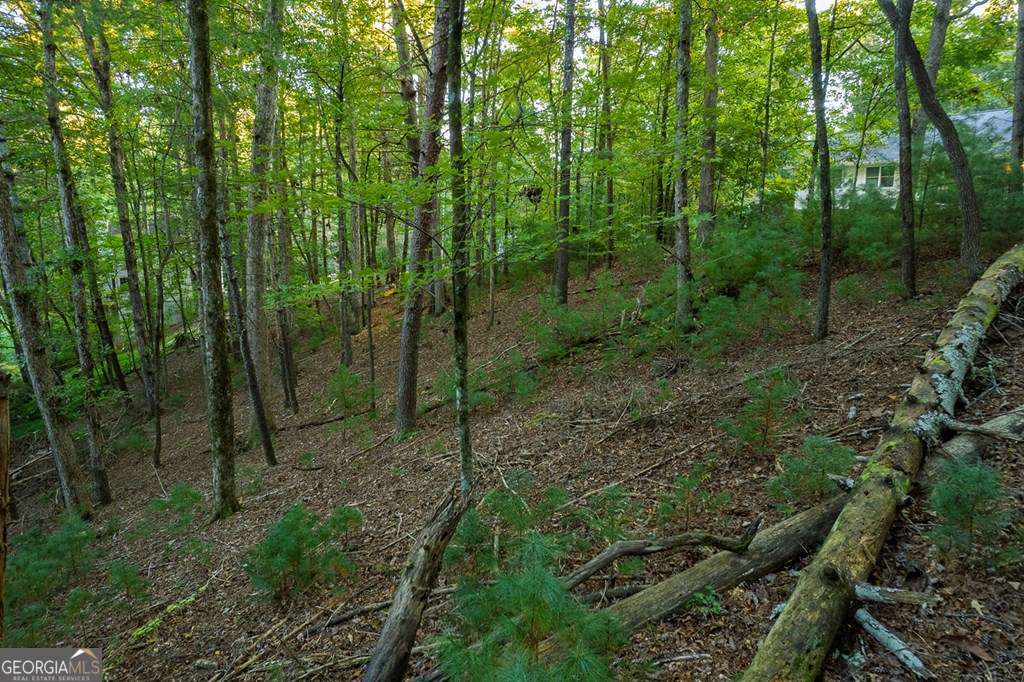 228 Toccoa Court # 228 Property Photo 12