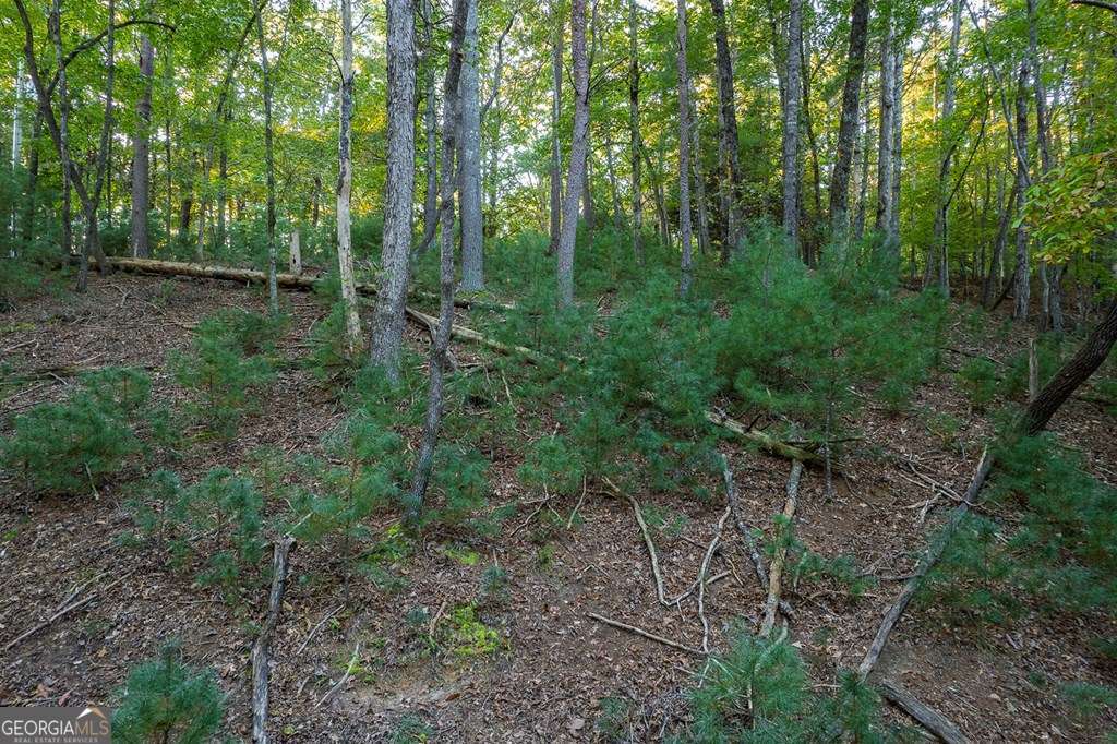 228 Toccoa Court # 228 Property Photo 14