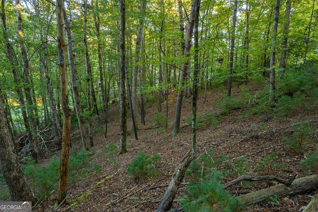 228 Toccoa Court # 228 Property Photo 15