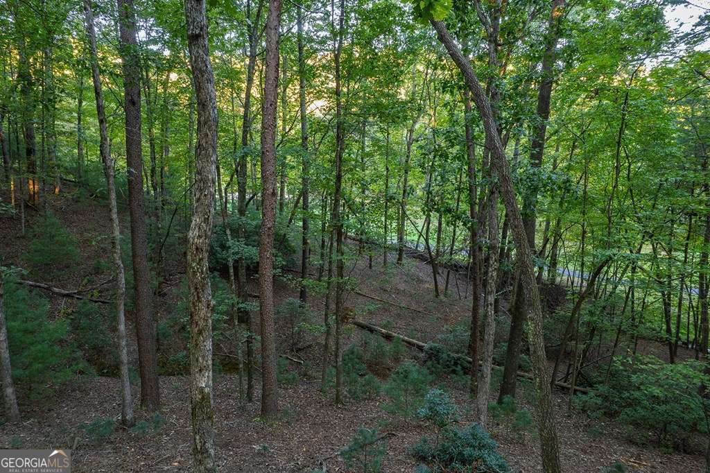 228 Toccoa Court # 228 Property Photo 16