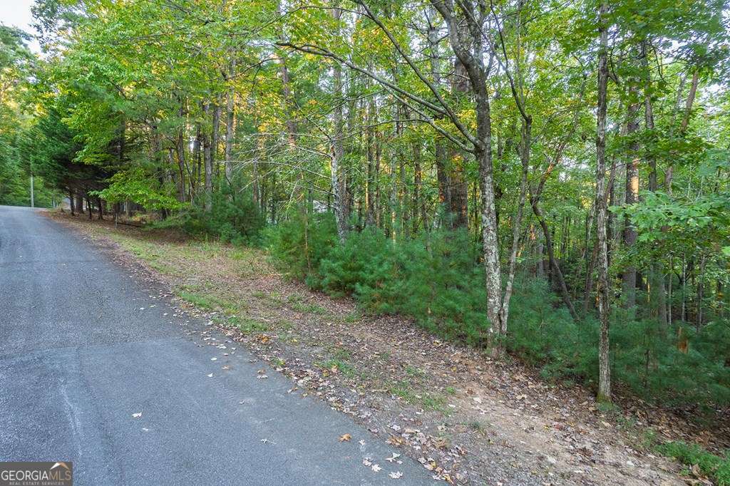 228 Toccoa Court # 228 Property Photo 17