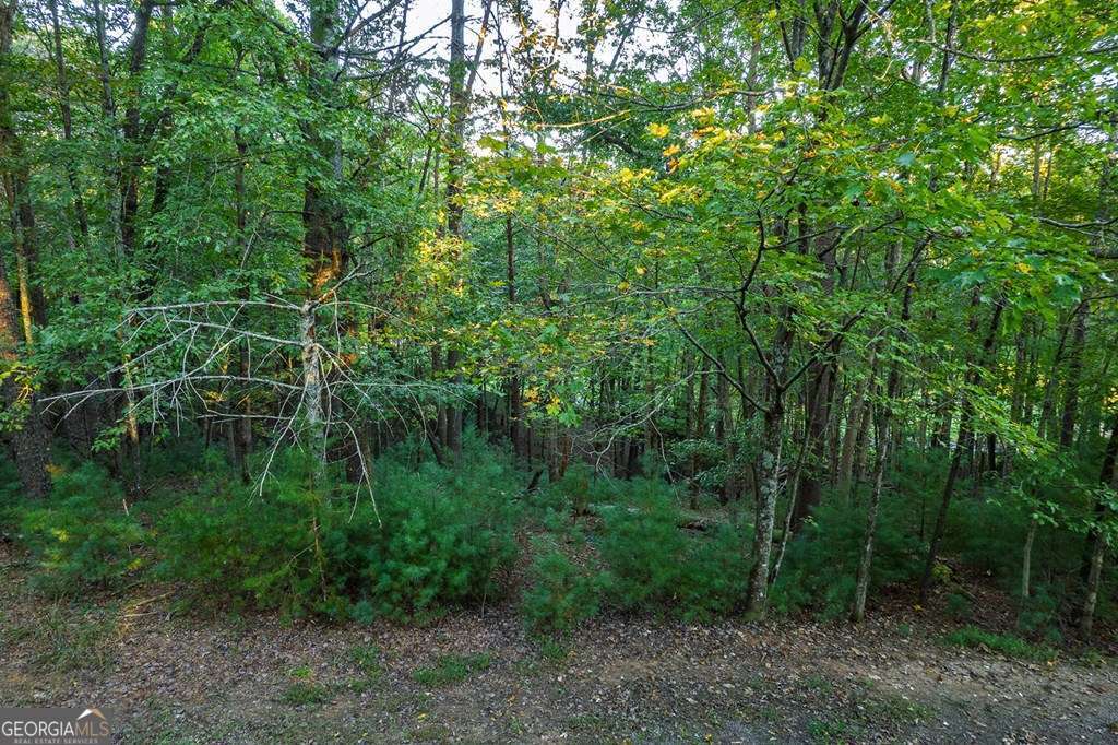 228 Toccoa Court # 228 Property Photo 18