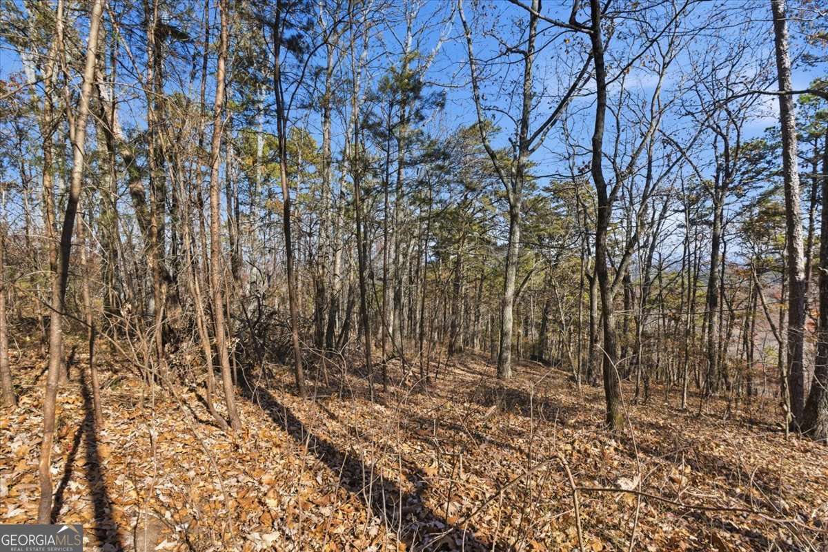 1166 Hunter Drive Property Photo 14