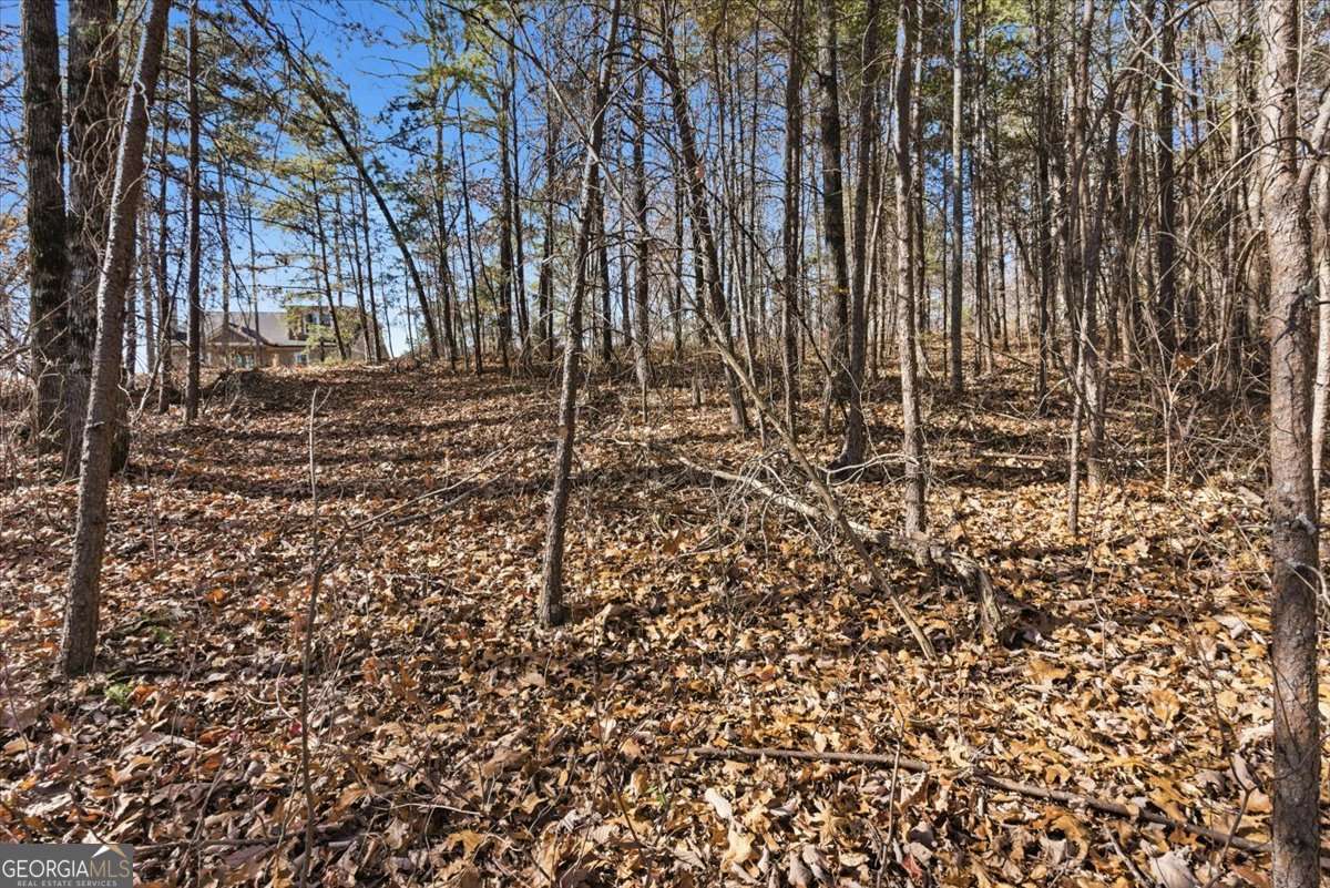 1166 Hunter Drive Property Photo 15