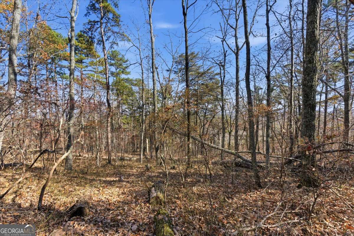 1166 Hunter Drive Property Photo 16
