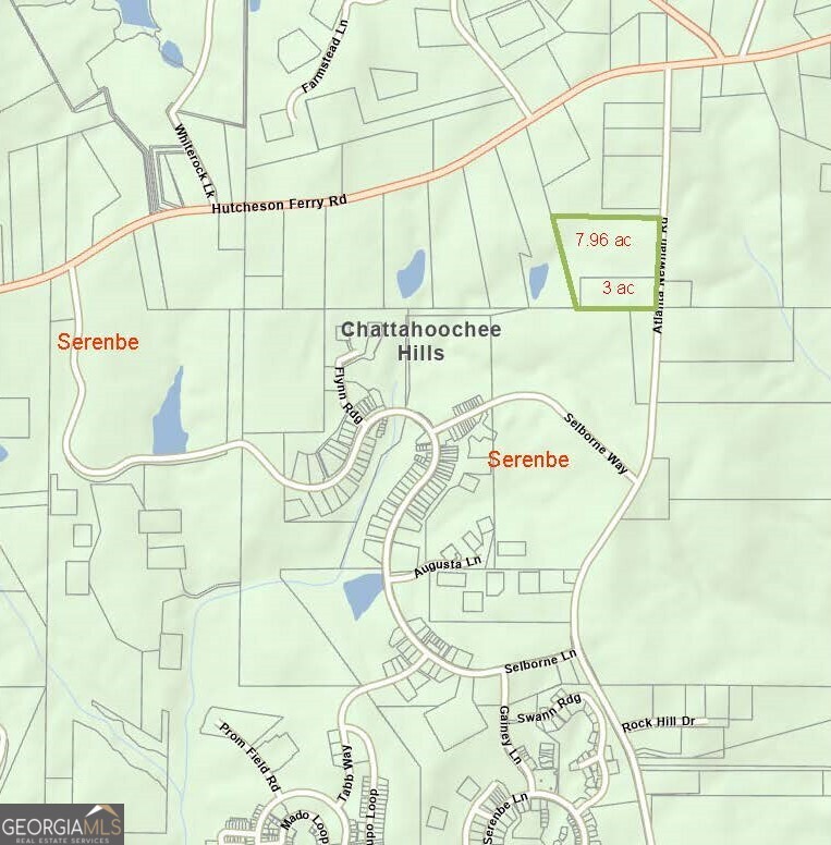 0 Atlanta Newnan Road Property Photo 1