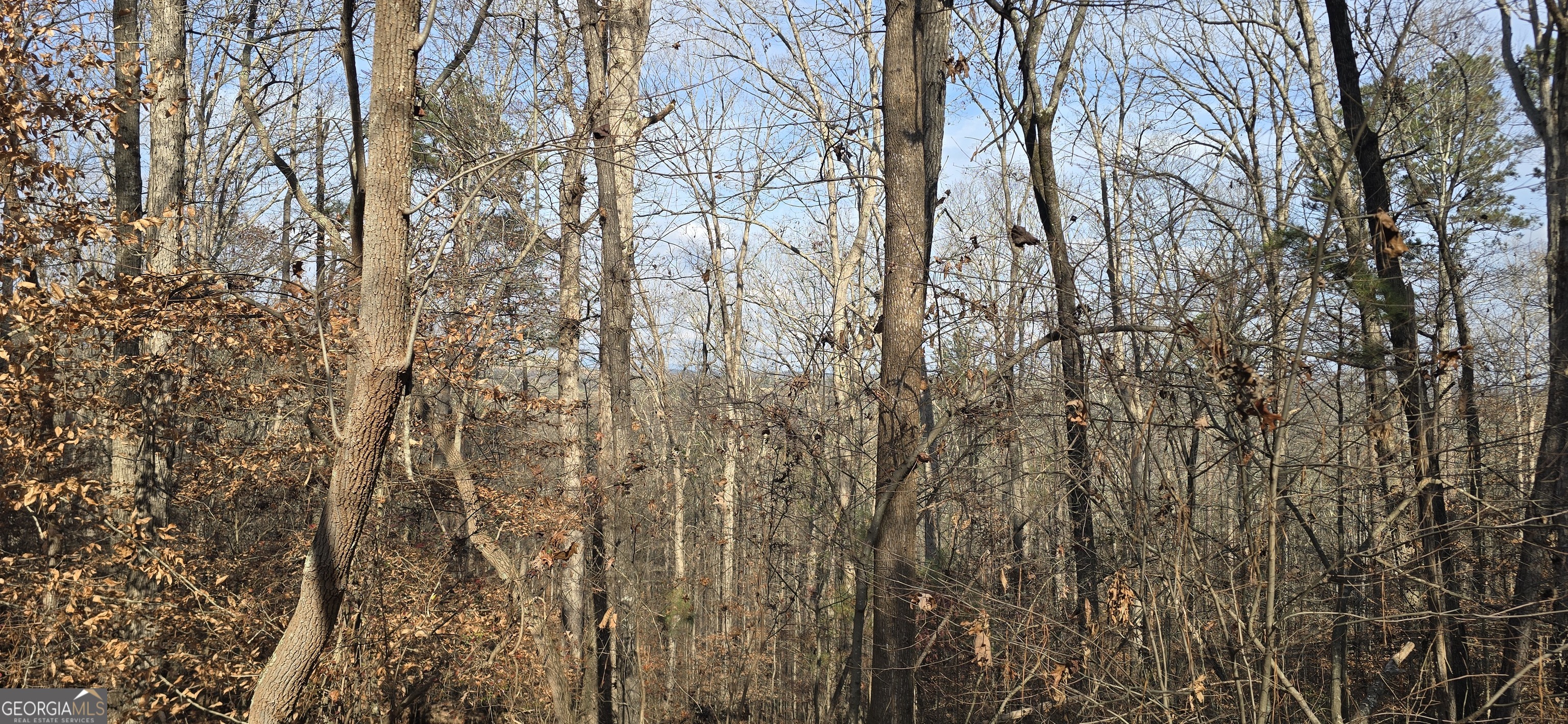 00001 Matt Highway Property Photo 1