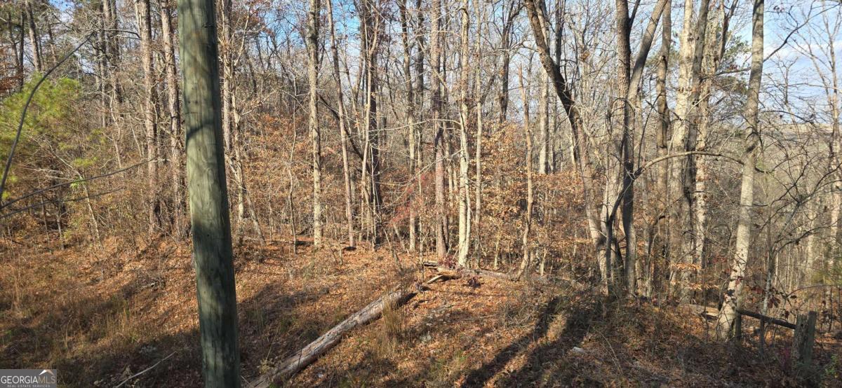 00001 Matt Highway Property Photo 2